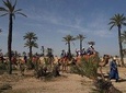 Camel Trek in Marrakech