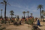Camel Trek in Marrakech