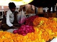 An Early Morning Glimpse of Life In Jaipur