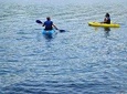 Full day Kayaking and animals, birds watching tour at Arenal lake from San Jose