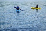 Full day Kayaking and animals, birds watching tour at Arenal lake from San Jose
