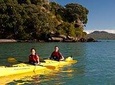 Half day kayak tour to Motukorea island