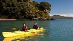 Half day kayak tour to Motukorea island