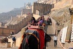 Golden Triangle 2-Day Tour
