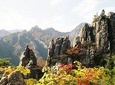 Private Hiking tour in Seorak National Park with Korean authentic chicken soup