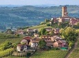 Piemonte Vineyards by Yourself from Turin - Luxury Van with English Chauffeur