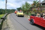 Full Day Kintamani Volcano Tour Volkswagen Safari