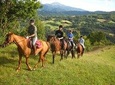 Private Horseback Riding Tour in Sicilian Countryside + Lunch at Etna Farmhouse