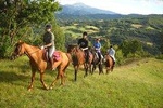Private Horseback Riding Tour in Sicilian Countryside + Lunch at Etna Farmhouse