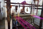 Silk-Weaving & Organic Farm Expedition From Chennai