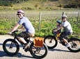 Franschhoek E-Bike Wine Tours