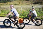 Franschhoek E-Bike Wine Tours