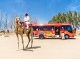 Ultimate Bahrain - The Full Day Tour (9 hours)