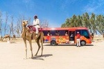 Ultimate Bahrain - The Full Day Tour (9 hours)