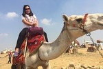 2 hours a camel ride in Sunset, with dinner Sound&Light Show at Giza Pyramids