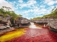 Cano Cristales & Jungle: 4 day trip from Bogota