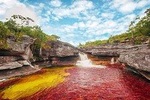 Cano Cristales & Jungle: 4 day trip from Bogota