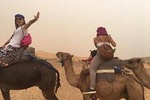 2- DAY ZAGORA DESERT CAMEL TREK
