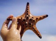 Private 2 Days and 1 nights in Bohol Tour Packages