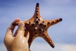 Private 2 Days and 1 nights in Bohol Tour Packages