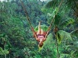 Jungle Swing and Nungnung Hidden Waterfall Tour
