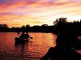 Firefly Kayaking with Dinner