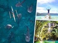 Private Cebu Day Tour: Oslob Whaleshark & Tumalog Falls (Sumilon Island)