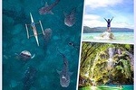 Private Cebu Day Tour: Oslob Whaleshark & Tumalog Falls (Sumilon Island)