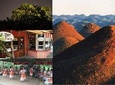 Private Day Trip from Cebu to Bohol 2D and 1N with Bohol Tour and Firefly Tour