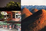 Private Day Trip from Cebu to Bohol 2D and 1N with Bohol Tour and Firefly Tour