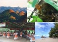 Private Day Trip from Cebu to Bohol 2D and 1N with Bohol Country Side Tour