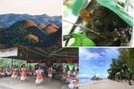 Private Day Trip from Cebu to Bohol 2D and 1N with Bohol Country Side Tour