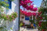 Tour and tickets: Authentic Patios of Cordoba