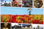 Private Cebu Twin City Tour with Temple of Leah and Sirao Flower Farm