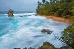 Transfer from Limon Cahuita or Puerto viejo to San Jose hotel or Airport 5 to 10