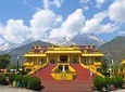 Day Tour of Dharamshala, home to the Dalai Lama