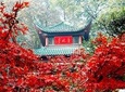 Changsha Highlight Private Day Tour