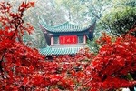Changsha Highlight Private Day Tour