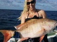Marathon Reef Fishing Charters