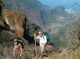 Private Easy/Moderate/Challenging Guided Walking Tour with mountain guide