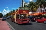 Big Bus Miami Night Tour
