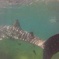 Whale shark experience at La Paz