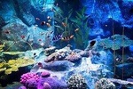 Pattaya Underwater World Tickets with Optional Hotel Transfers