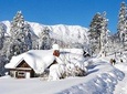 Day Excursion To Gulmarg From Srinagar With Lunch