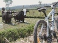 1Day - Malang Cycling Village Tour