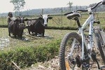 1Day - Malang Cycling Village Tour