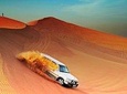 Dubai: Morning Desert Safari