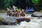 Private Tour in Bali: Bali's Best Water Rafting and Jungle Swing Tour