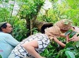  Journey Of coffee Bali 