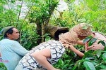  Journey Of coffee Bali 